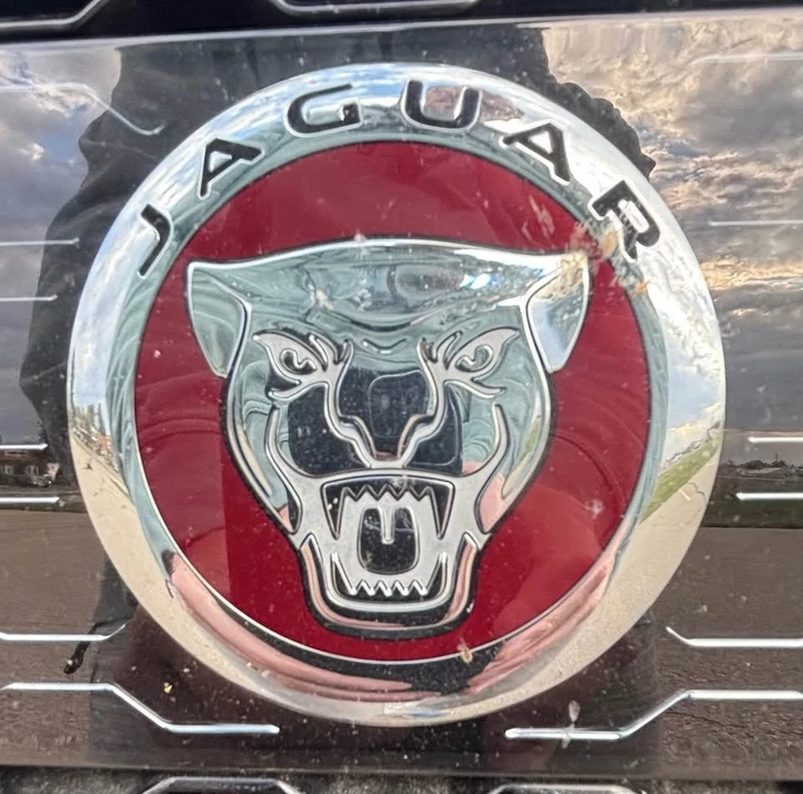 2019 Jaguar F-Pace - Image 14 of 16