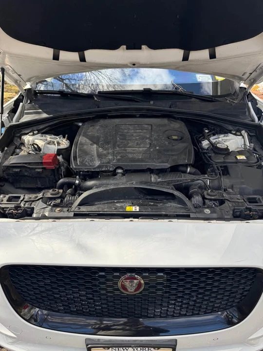 2019 Jaguar F-Pace - Image 10 of 10