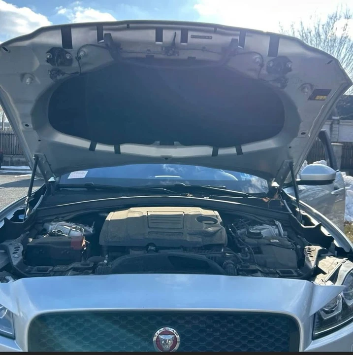2019 Jaguar F-Pace - Image 15 of 16