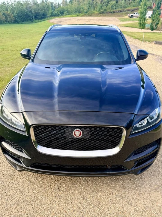 2019 Jaguar F-Pace - Image 12 of 13