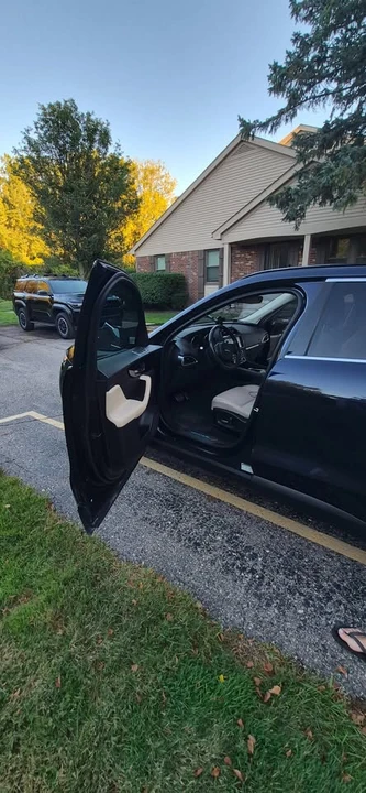 2019 Jaguar F-Pace - Image 10 of 10