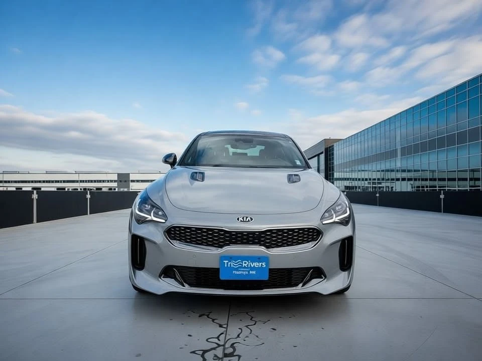 2019 Kia Stinger GT - Image 8 of 18
