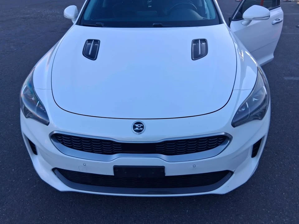 2019 Kia Stinger - Image 13 of 20