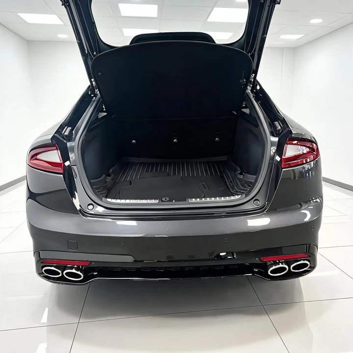 2019 Kia Stinger GT - Image 8 of 20