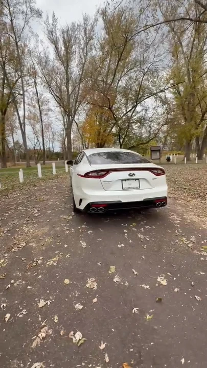 2019 Kia Stinger GT - Image 6 of 6