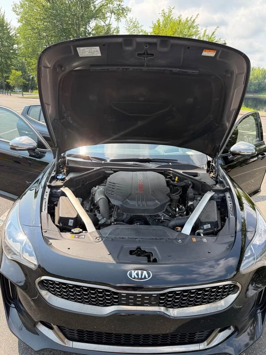 2019 Kia Stinger GT - Image 10 of 12