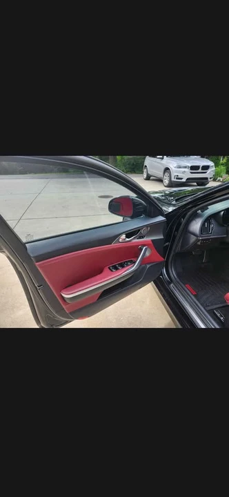 2019 Kia Stinger GT - Image 13 of 13