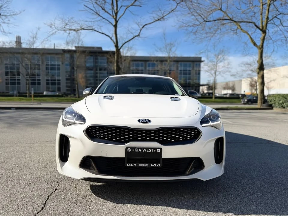 2019 Kia Stinger - Image 2 of 20