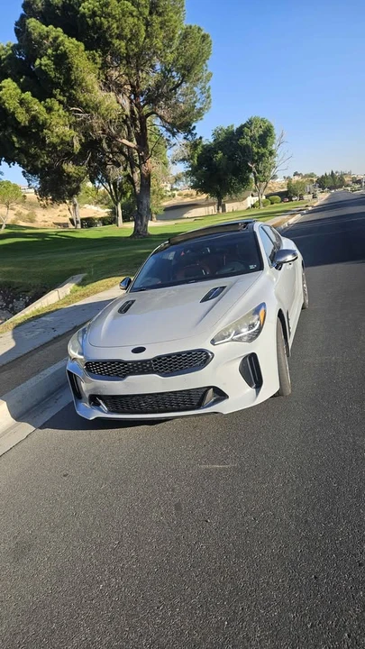 2019 Kia Stinger - Image 14 of 15