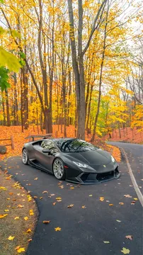 2019 Lamborghini Huracan LP580-2 Coupe