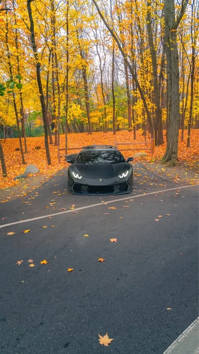 2019 Lamborghini Huracan LP580-2 - Image 4 of 8