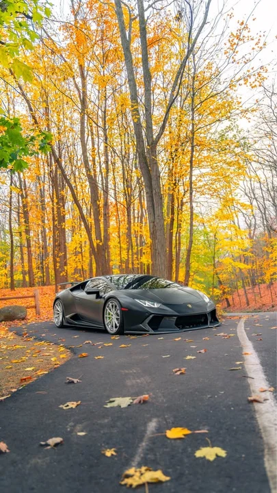 2019 Lamborghini Huracan LP580-2 - Image 3 of 8