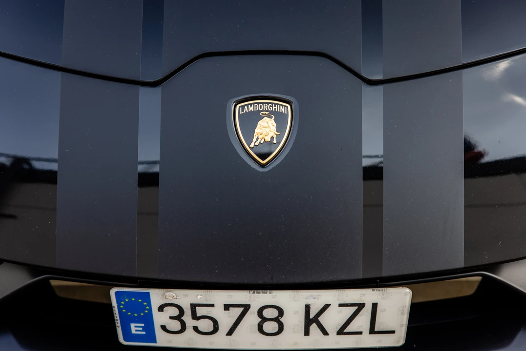 2019 Lamborghini Huracan LP640-4 EVO - Image 24 of 31