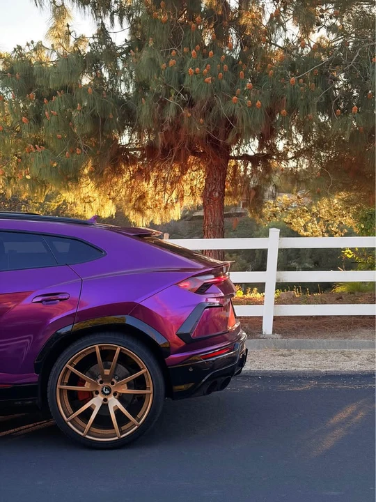 2019 Lamborghini Urus - Image 4 of 9