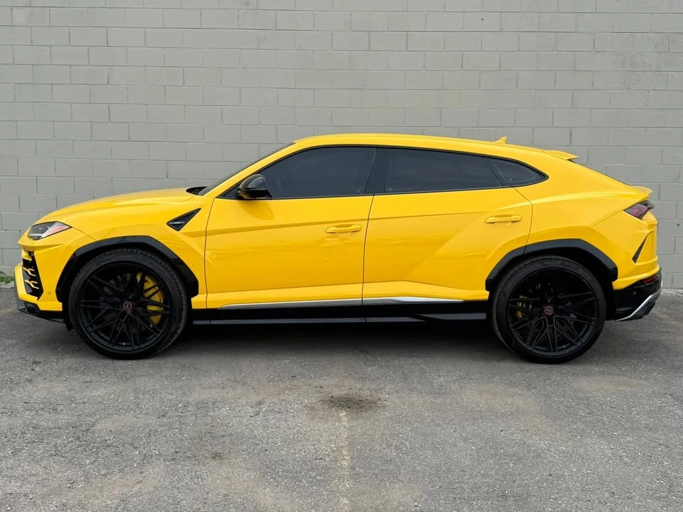 2019 Lamborghini Urus - Image 5 of 14