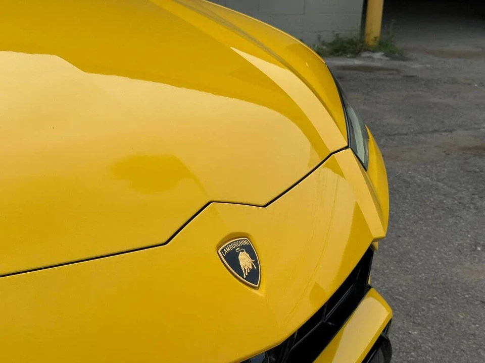 2019 Lamborghini Urus - Image 13 of 14