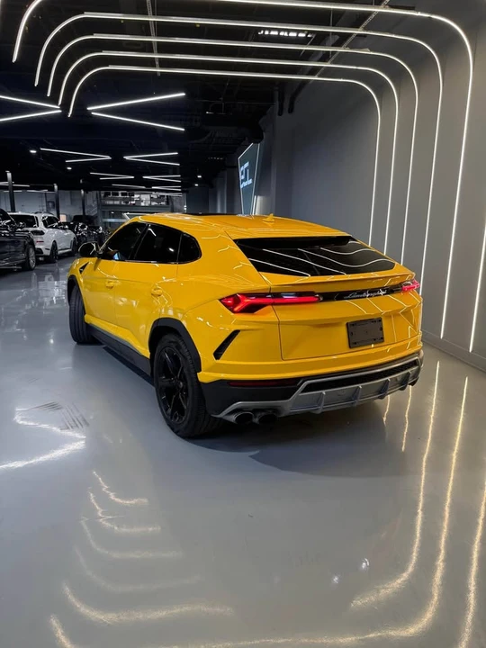 2019 Lamborghini Urus - Image 11 of 14