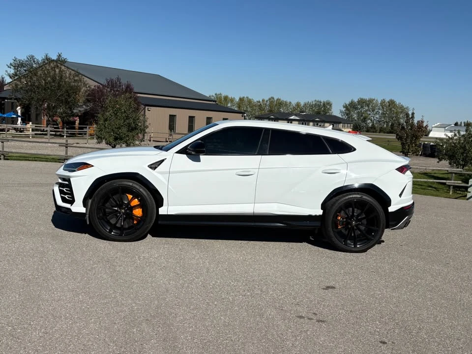 2019 Lamborghini Urus - Image 6 of 20