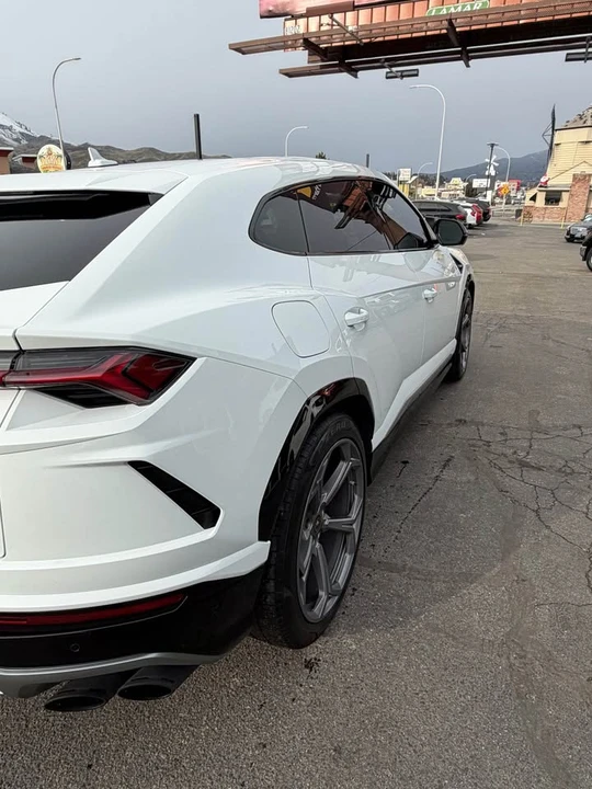2019 Lamborghini Urus - Image 5 of 13