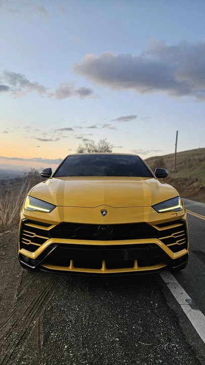 2019 Lamborghini Urus - Image 3 of 16