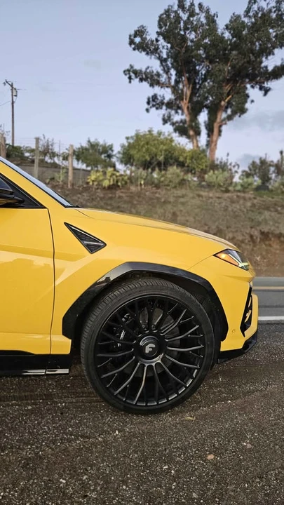 2019 Lamborghini Urus - Image 6 of 16