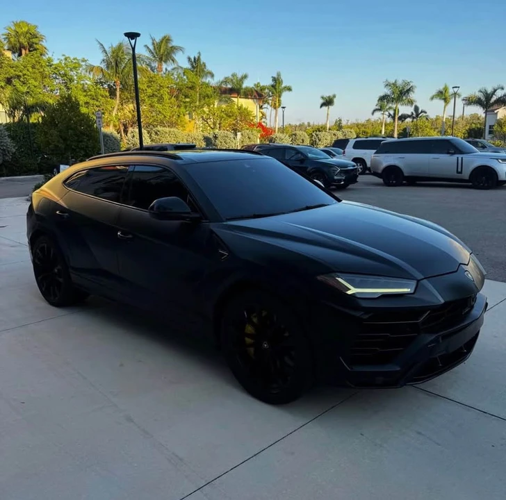 2019 Lamborghini Urus - Image 2 of 19