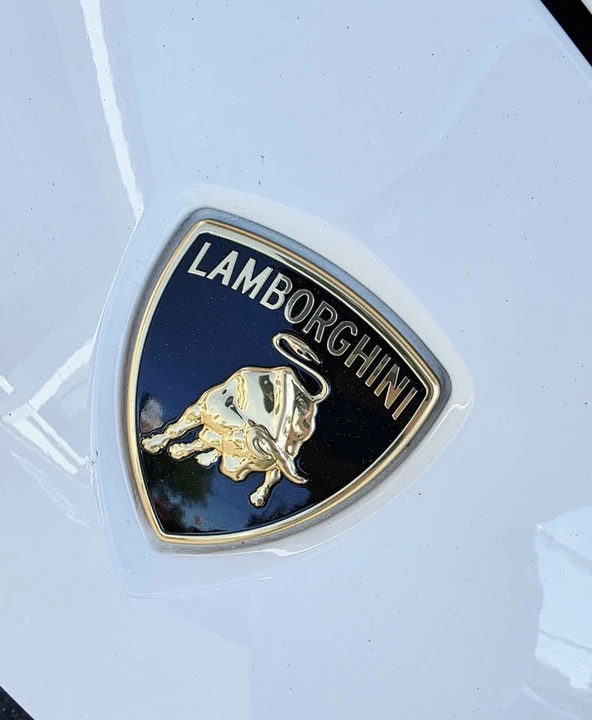 2019 Lamborghini Urus - Image 5 of 12