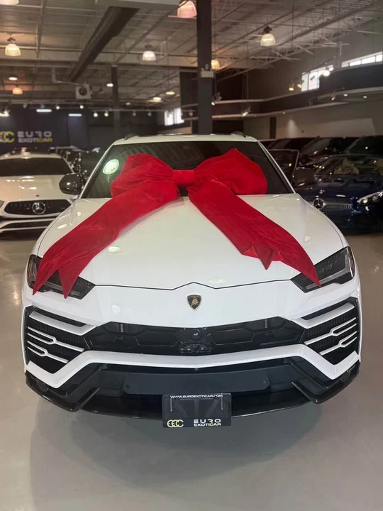 2019 Lamborghini Urus - Image 2 of 12