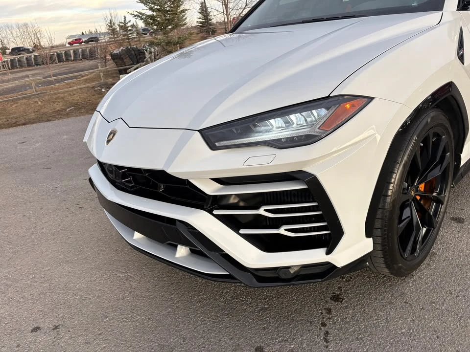 2019 Lamborghini Urus - Image 4 of 20