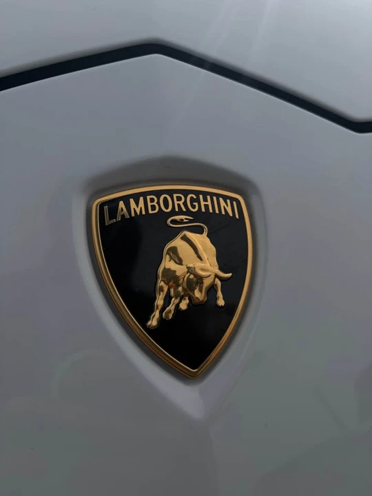 2019 Lamborghini Urus - Image 18 of 18