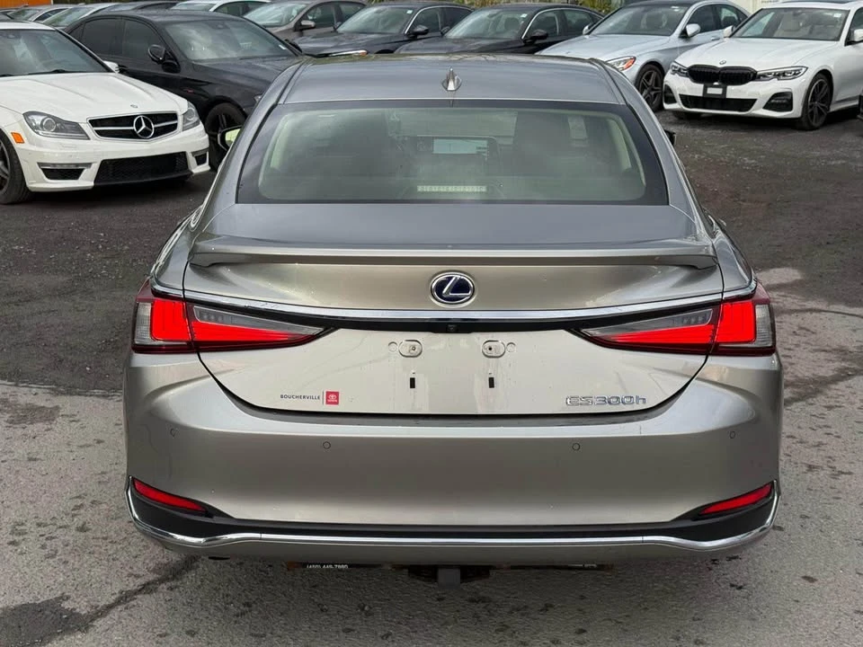 2019 Lexus ES 7th Gen - Image 6 of 20