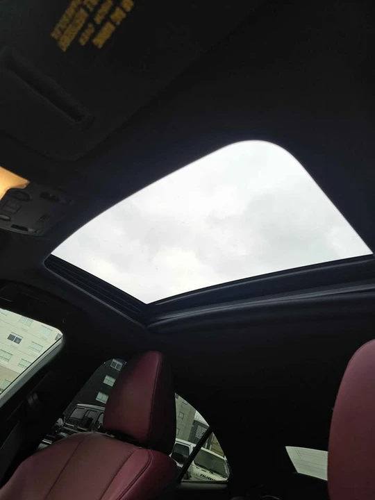 2019 Lexus IS 3rd Gen - Image 9 of 9