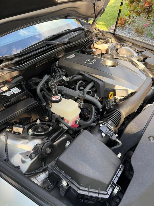 2019 Lexus IS 3rd Gen - Image 30 of 31