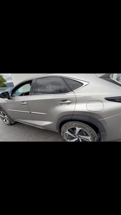 2019 Lexus NX 1st Gen - Image 13 of 13