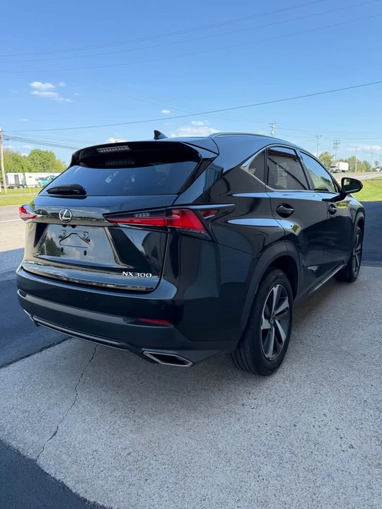 2019 Lexus NX 1st Gen - Image 6 of 20