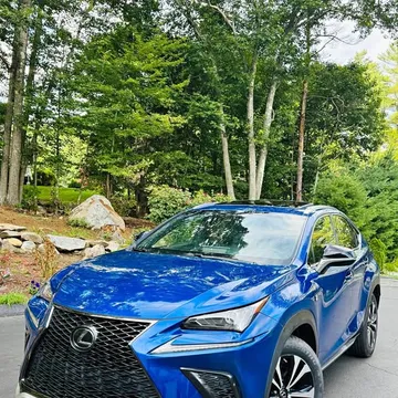 2019 Lexus NX 300 F Sport