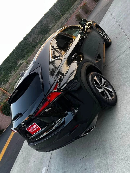 2019 Lexus NX 1st Gen - Image 4 of 20