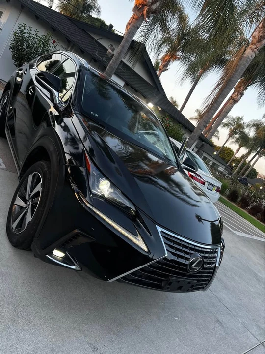 2019 Lexus NX 1st Gen - Image 2 of 20