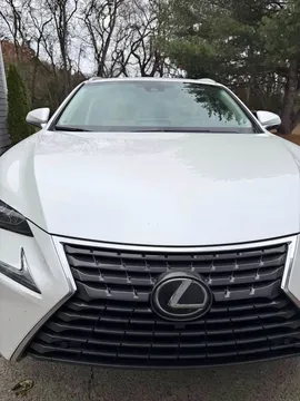 2019 Lexus NX300