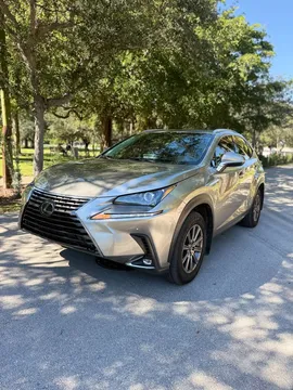 2019 Lexus NX300 Sport