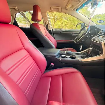 2019 Lexus NX300