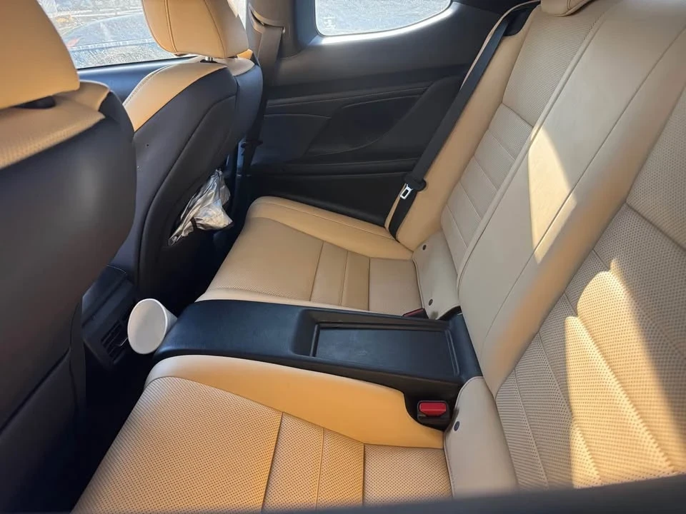 2019 Lexus RC - Image 10 of 10