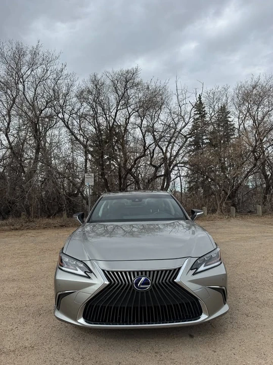 2019 Lexus ES 7th Gen - Image 7 of 20