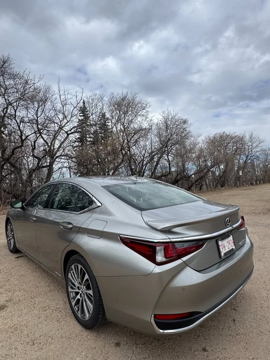 2019 Lexus ES 7th Gen - Image 5 of 20