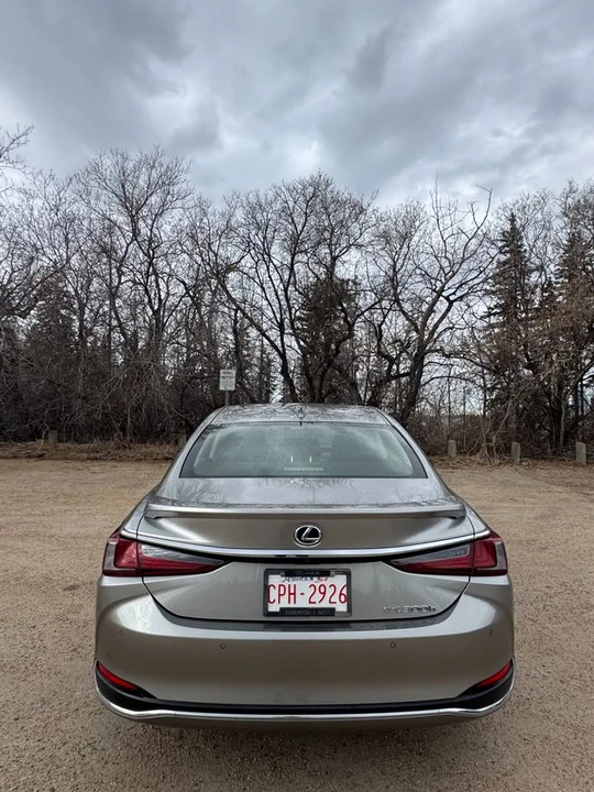 2019 Lexus ES 7th Gen - Image 8 of 20