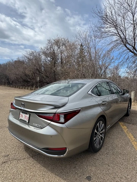 2019 Lexus ES 7th Gen - Image 6 of 20