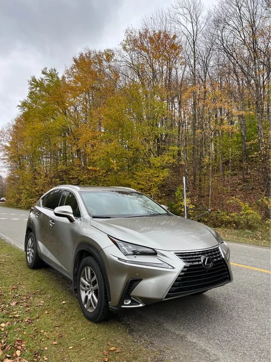 2019 Lexus NX 1st Gen - Image 11 of 11