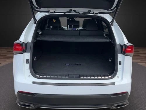 2019 Lexus NX 1st Gen - Image 20 of 20
