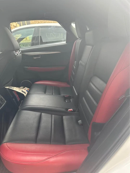 2019 Lexus NX 1st Gen - Image 11 of 11