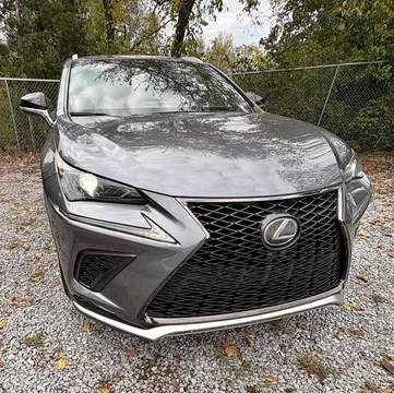 2019 Lexus NX 300 F SPORT